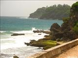 Pelicano Beach - ISABELA